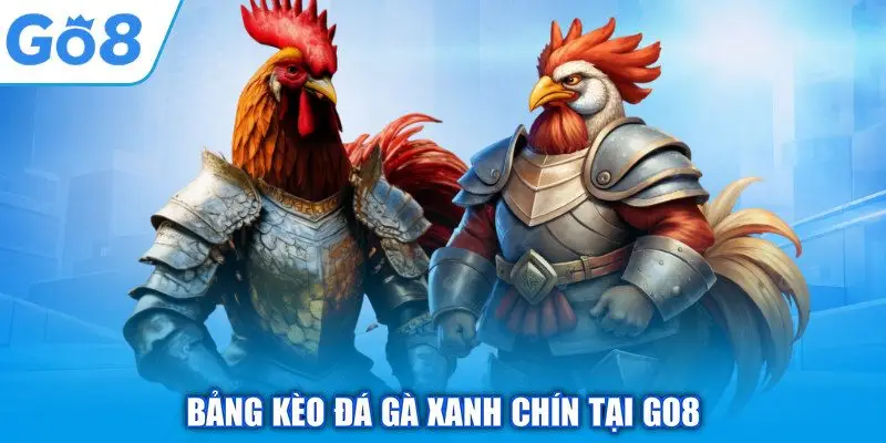 Đá Gà Trực Tiếp - GO8 Tường Thuật Trận Đấu Kịch Tính 3 Bảng kèo đá gà xanh chín tại GO8